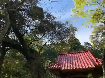 山神社の自然