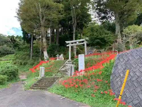 八幡神社の鳥居