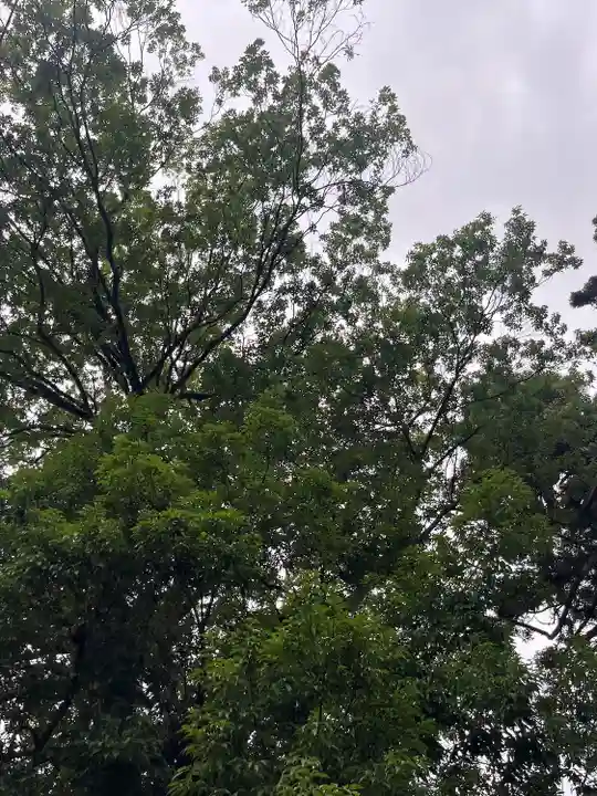 飯坂八幡神社(福島県)