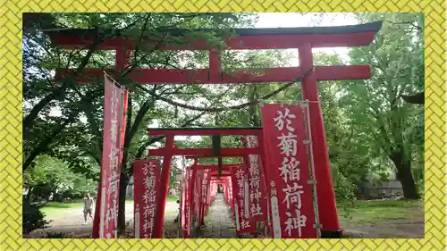 於菊稲荷神社(群馬県)