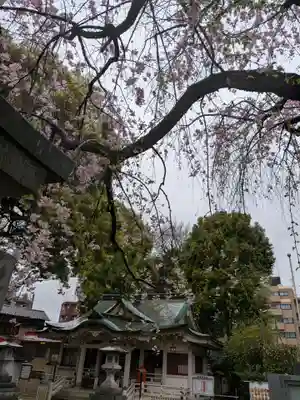 荻窪白山神社(東京都)