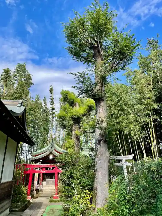 鷺宮八幡神社(東京都)