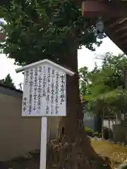 川崎大師（平間寺）の自然