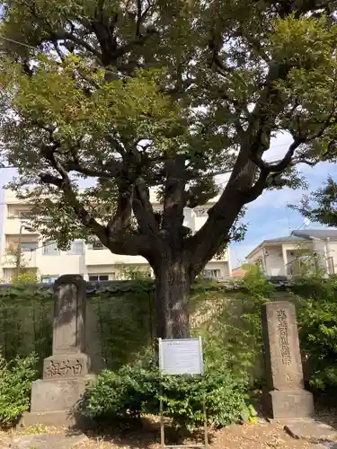 祐天寺(東京都)