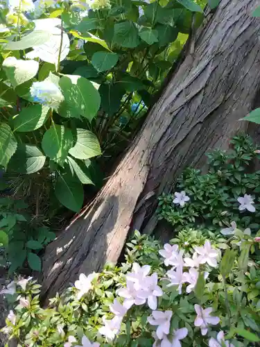 雲昌寺(秋田県)