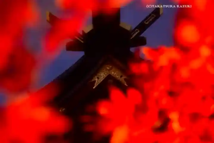 大山阿夫利神社(神奈川県)