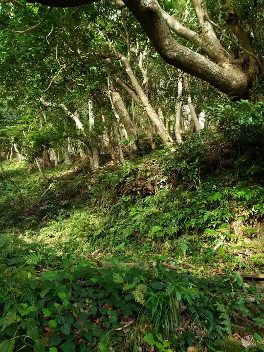 天津神明宮の周辺