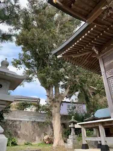 瀧口神社のその他建物