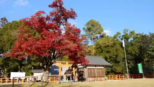 賀茂別雷神社（上賀茂神社）のその他建物