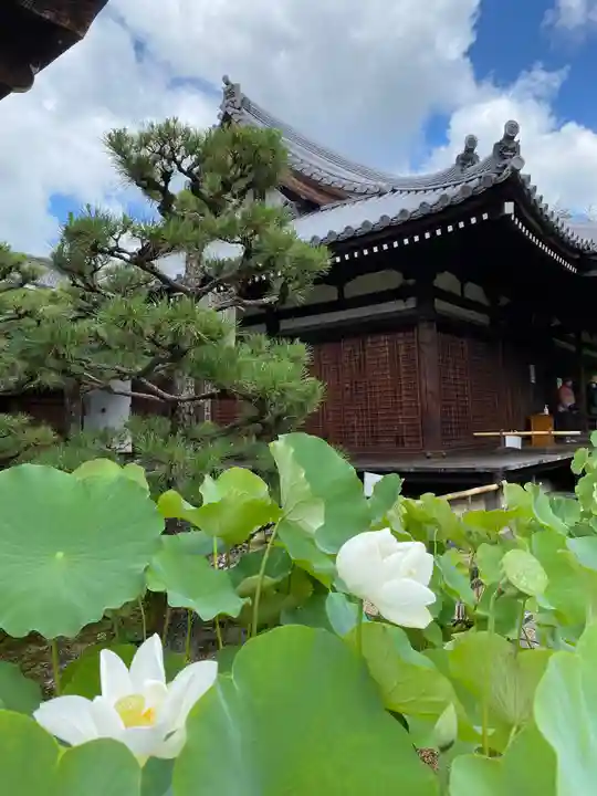 法金剛院(京都府)