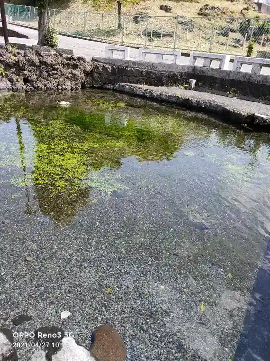 富士山本宮浅間大社の庭園