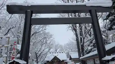 旭川神社の初詣