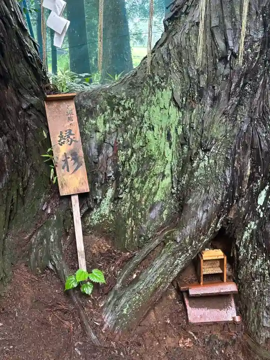 坪沼八幡神社(宮城県)