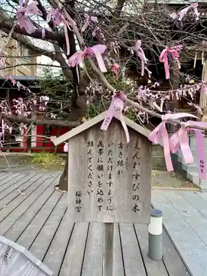 桜神宮(東京都)