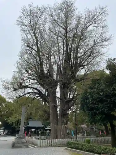 鑁阿寺の{uncategorized: "未分類", other: "その他", undefined: "問題あり", building: "その他建物", grave: "お墓", sacred_gate: "鳥居", guardian: "狛犬", statue: "像", buddha: "仏像", history: "歴史", nature: "自然", garden: "庭園", animal: "動物", pagoda: "塔", temizu: "手水舎", mountain_gate: "山門・神門", sanctuary: "本殿・本堂", subordinate: "末社・摂社", art: "芸術", scenery: "景色", jizo: "地蔵", ema: "絵馬", goshuin: "御朱印", omikuji: "おみくじ", items: "授与品その他", amulet: "お守り", goshuincho: "御朱印帳", eats: "食事", festival: "お祭り", votive_dance: "神楽", shichigosan: "七五三参", wedding: "結婚式", experience: "体験その他", initially: "初詣", around: "周辺", anti_infection: "感染症対策"}
