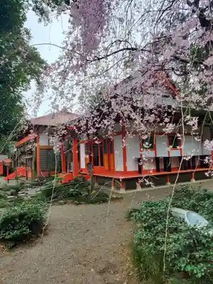 冠稲荷神社(群馬県)