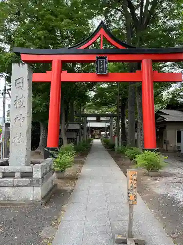 丸子山王日枝神社の鳥居