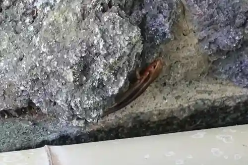 桜井市護国神社の動物