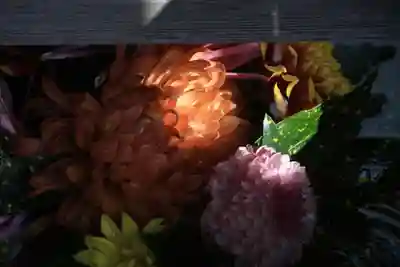 豊景神社の手水舎