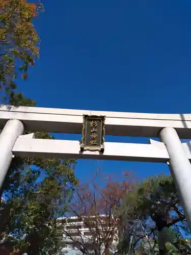 大棚・中川杉山神社の鳥居