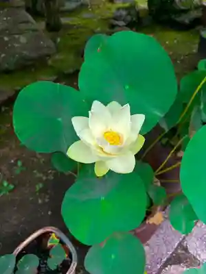 伊勢の国 四天王寺(三重県)