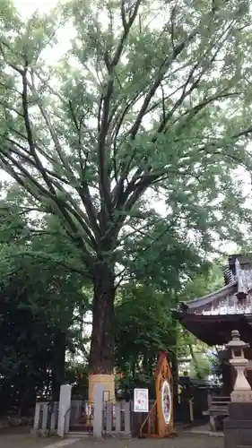 田無神社(東京都)