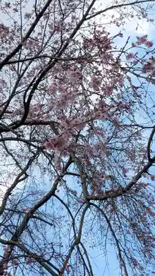 松ヶ崎大黒天 妙圓寺（妙円寺）(京都府)