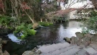 富士山本宮浅間大社(静岡県)