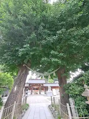 亀ケ池八幡宮(神奈川県)