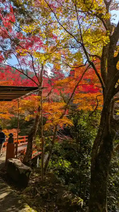 西明寺(京都府)