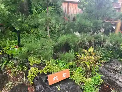 蛇窪神社(東京都)