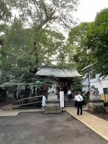 神明氷川神社の狛犬