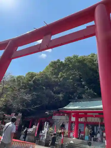 徳島眉山天神社の鳥居