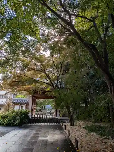 高円寺(東京都)
