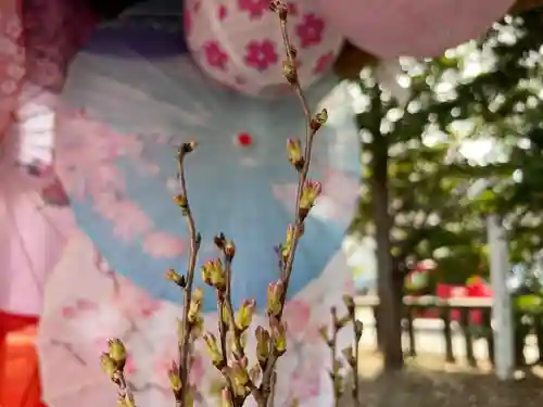 札幌諏訪神社のその他建物