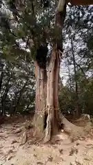 鴨神社(岡山県)