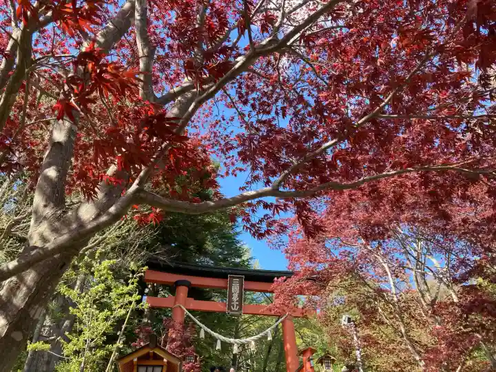 新倉富士浅間神社の{uncategorized: "未分類", other: "その他", undefined: "問題あり", building: "その他建物", grave: "お墓", sacred_gate: "鳥居", guardian: "狛犬", statue: "像", buddha: "仏像", history: "歴史", nature: "自然", garden: "庭園", animal: "動物", pagoda: "塔", temizu: "手水舎", mountain_gate: "山門・神門", sanctuary: "本殿・本堂", subordinate: "末社・摂社", art: "芸術", scenery: "景色", jizo: "地蔵", ema: "絵馬", goshuin: "御朱印", omikuji: "おみくじ", items: "授与品その他", amulet: "お守り", goshuincho: "御朱印帳", eats: "食事", festival: "お祭り", votive_dance: "神楽", shichigosan: "七五三参", wedding: "結婚式", experience: "体験その他", initially: "初詣", around: "周辺", anti_infection: "感染症対策"}