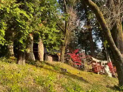 若宮八幡神社(山梨県)