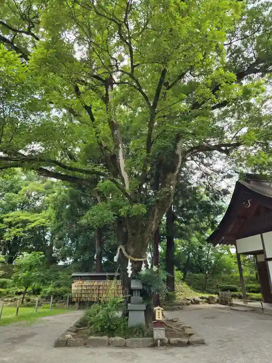 武田神社(山梨県)