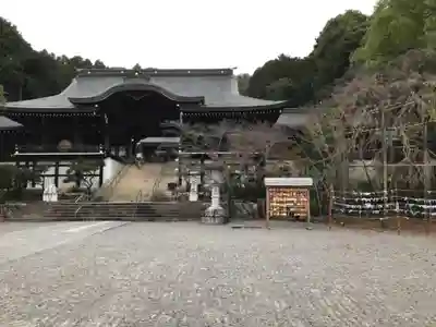 近江神宮の本殿・本堂