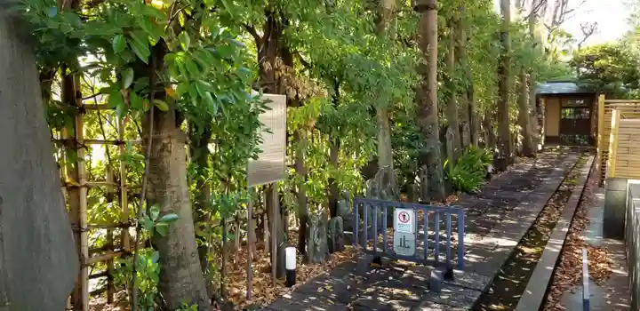 西藏院(東京都)