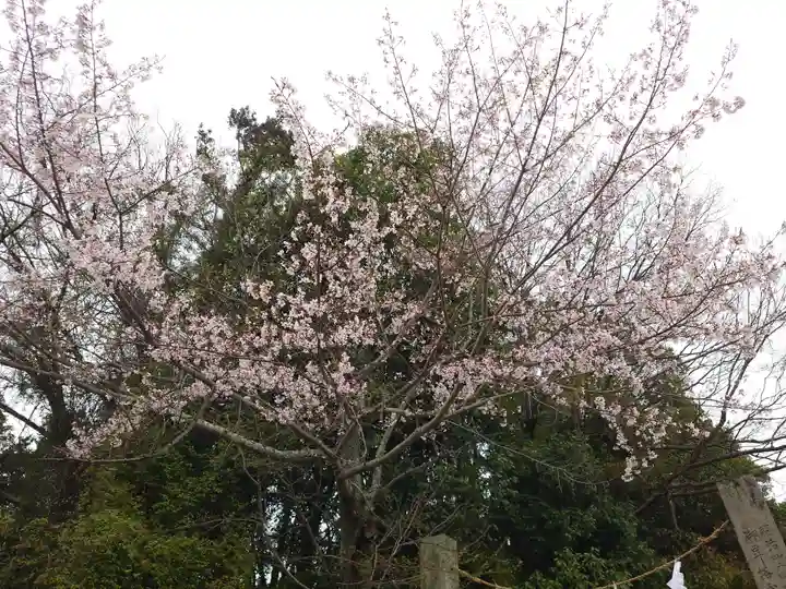 厳島神社(広島県)