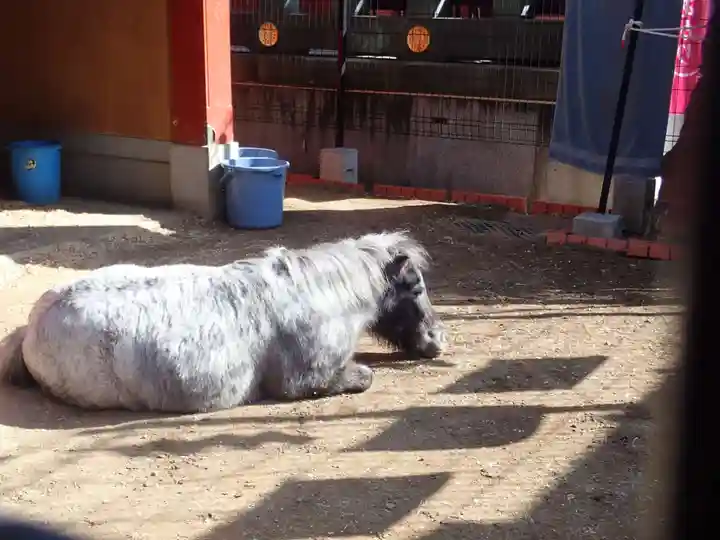 神田神社(神田明神)(東京都)