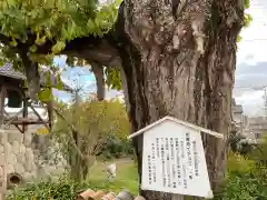 祐専寺(愛知県)