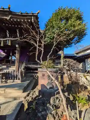 白山神社(東京都)