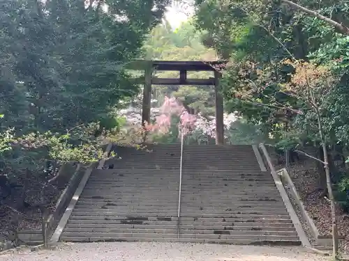 近江神宮の鳥居