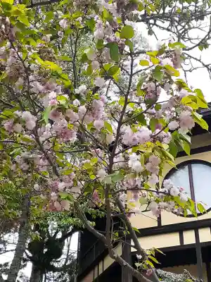 龍王珠石の{uncategorized: "未分類", other: "その他", undefined: "問題あり", building: "その他建物", grave: "お墓", sacred_gate: "鳥居", guardian: "狛犬", statue: "像", buddha: "仏像", history: "歴史", nature: "自然", garden: "庭園", animal: "動物", pagoda: "塔", temizu: "手水舎", mountain_gate: "山門・神門", sanctuary: "本殿・本堂", subordinate: "末社・摂社", art: "芸術", scenery: "景色", jizo: "地蔵", ema: "絵馬", goshuin: "御朱印", omikuji: "おみくじ", items: "授与品その他", amulet: "お守り", goshuincho: "御朱印帳", eats: "食事", festival: "お祭り", votive_dance: "神楽", shichigosan: "七五三参", wedding: "結婚式", experience: "体験その他", initially: "初詣", around: "周辺", anti_infection: "感染症対策"}