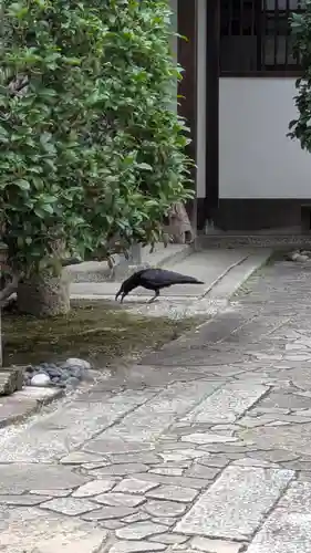 香雪院(京都府)