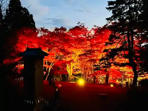 土津神社｜こどもと出世の神さまの自然