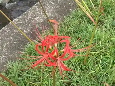 横浜　西方寺(神奈川県)